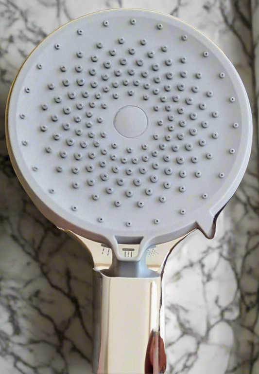 Handheld Shower Head